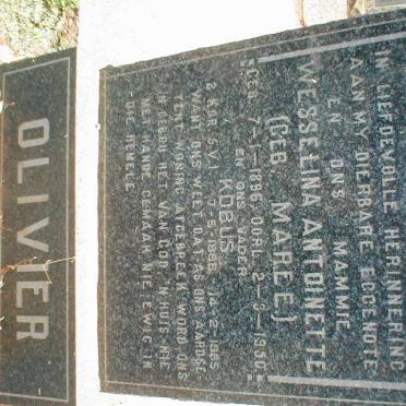 OLIVIER Kobus 1888-1965 &amp; Wesselina Antoinette MAREE 1896-1950