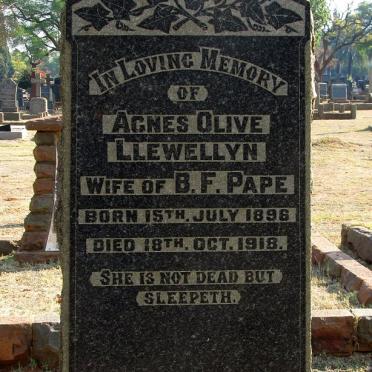 PAPE Agnes Olive nee LLEWELLYN 1896-1918