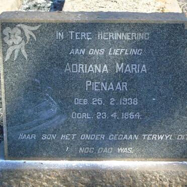PIENAAR Adriana Maria 1938-1954