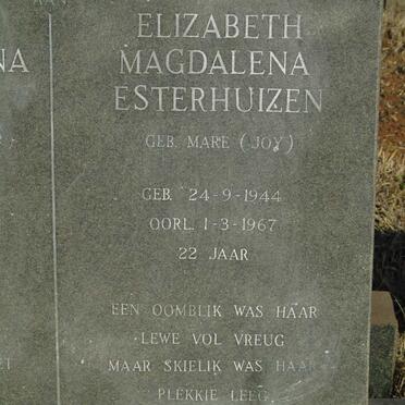 RADEMEYER :: V.D. WESTHUIZEN :: LOOTZ :: MARE :: ESTERHUIZEN