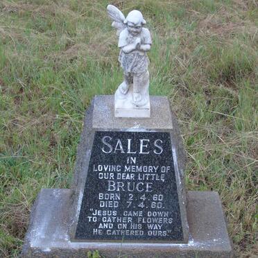 SALES Bruce 1960-1960