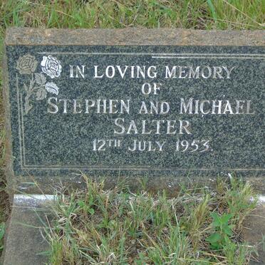 SALTER Stephen -1953 :: SALTER Michael -1953
