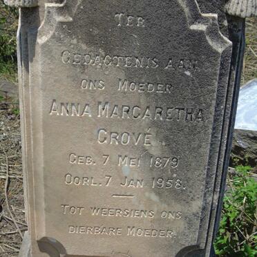 STEYNBERG :: GROVE :: OLIVIER _4