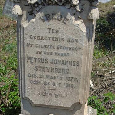 STEYNBERG :: GROVE :: OLIVIER