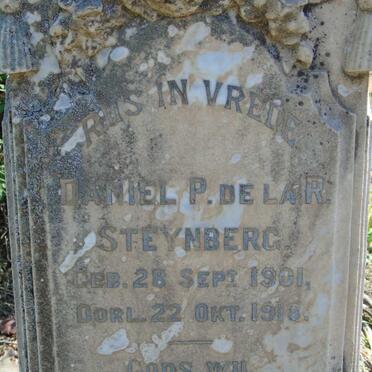 STEYNBERG :: GROVE :: OLIVIER _2