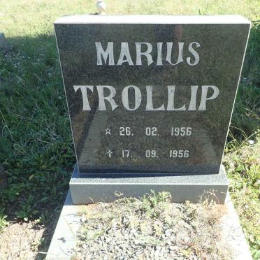 TROLLIP Marius 1956-1956