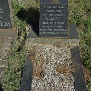 TALJAARD Sampie 1956-1963