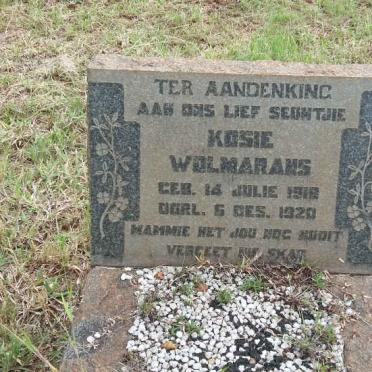 WOLMARANS Kosie 191?-1920