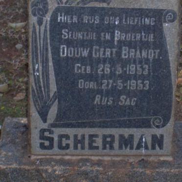 BRANDT Douw Gert 1953-1953