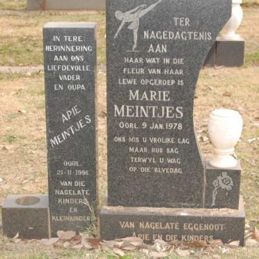 MEINTJES Apie -1991 &amp; Marie -1978