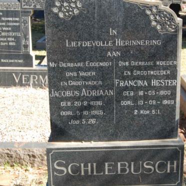 SCHLEBUSCH  Jacobus Adriaan 1896-1965 &amp; Francina Hester 1900-1989