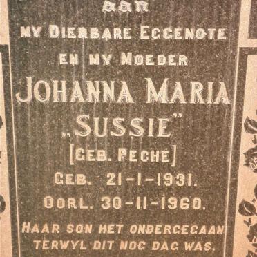 VISSER Johanna Maria nee PECHE 1931-1960