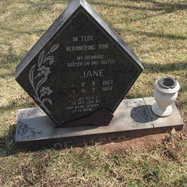 JAGER Jane, de 1967-1984