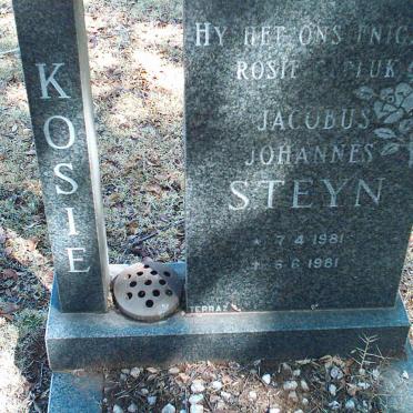 STEYN Jacobus Johannes 1981-1981