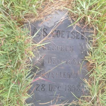 COETSEE A.S. 1881-1898