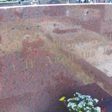 COETZEE Cornelius Gerhardus 1934-1998