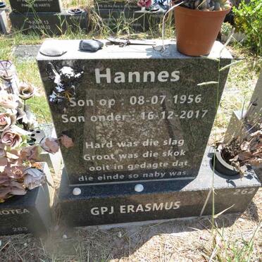 ERASMUS G.P.J. 1956-2017