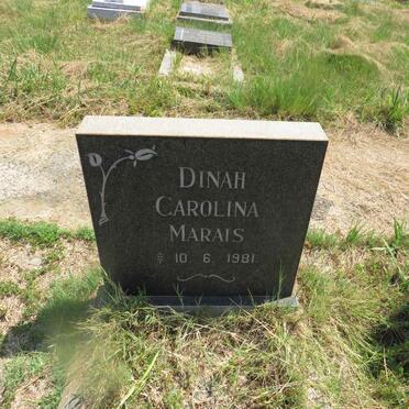 MARAIS Dinah Carolina 1981-1981