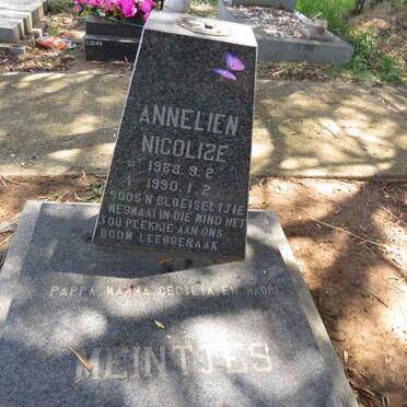 MEINTJES Annelien Nicolize 1988-1990