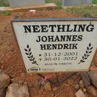 NEETHLING Johannes Hendrik 2001-2022