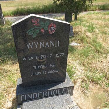 TINDERHOLEM Wynand 1977-1977