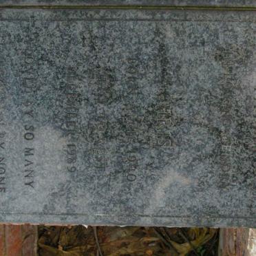 PAVITT Chris 1940-1989