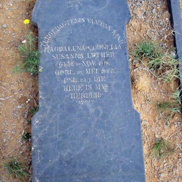 LUTHER Magdalena Cornelia Susanna 1919-1934