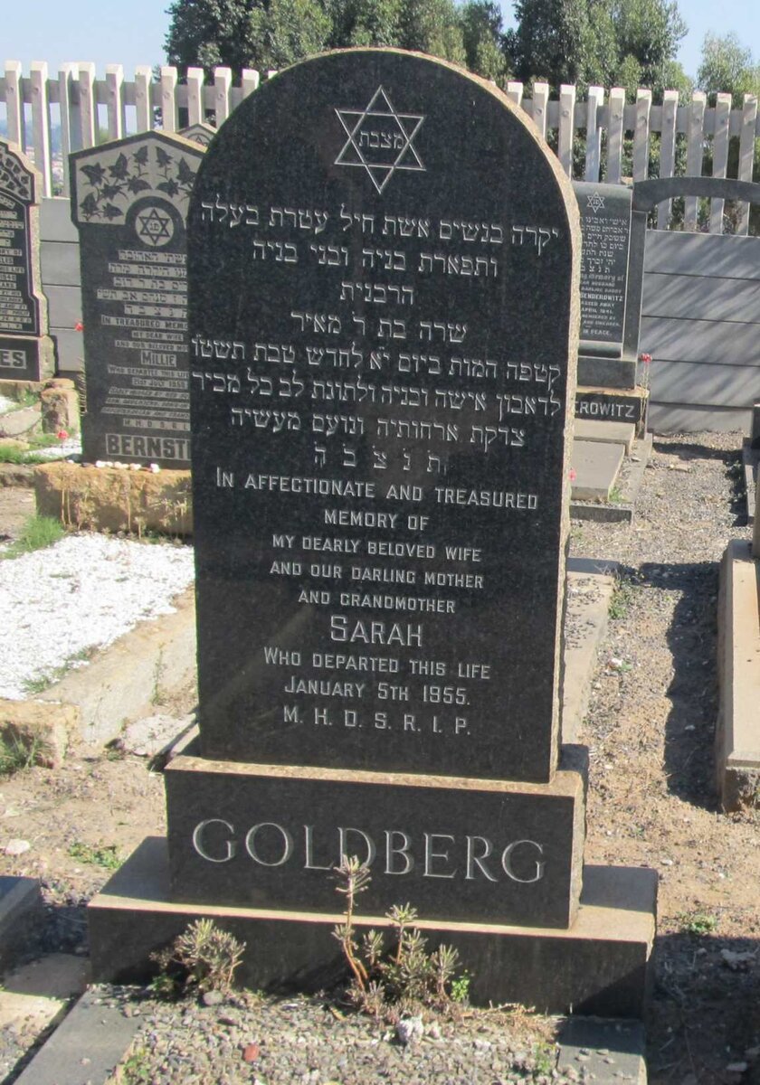 GOLDBERG Sarah -1955