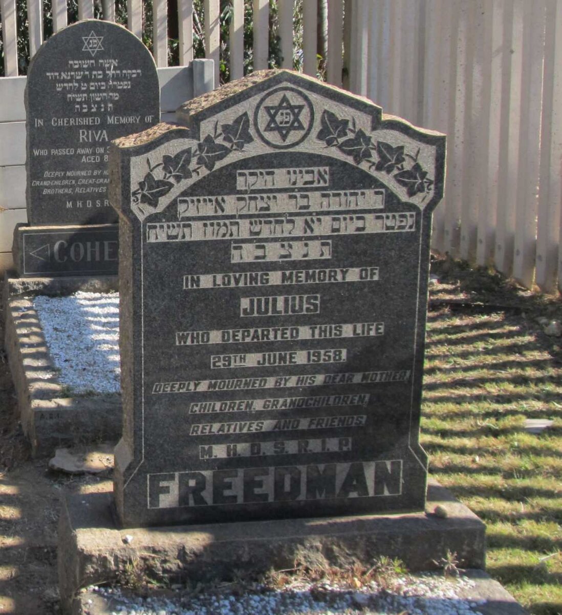 FREEDMAN Julius -1958