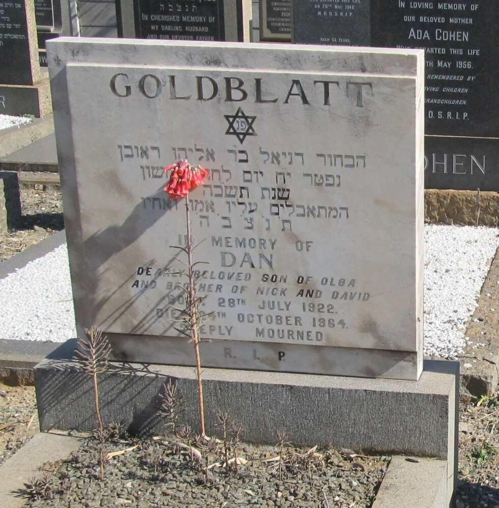 GOLDBLATT Dan 1922-1964