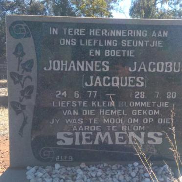SIEMENS Johannes Jacobus 1977-1980