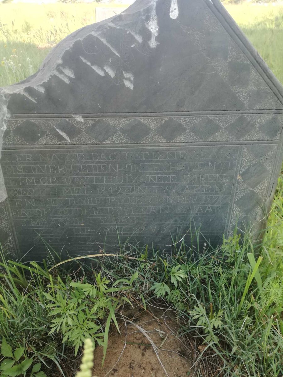 OOSTHUIZEN J.J.M.C.P. 1842-1928