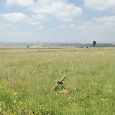 3. Overview / Oorsig