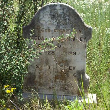 VREY Magdalena ? M. 1891-1899 :: VREY Sophia C. 1896-1899