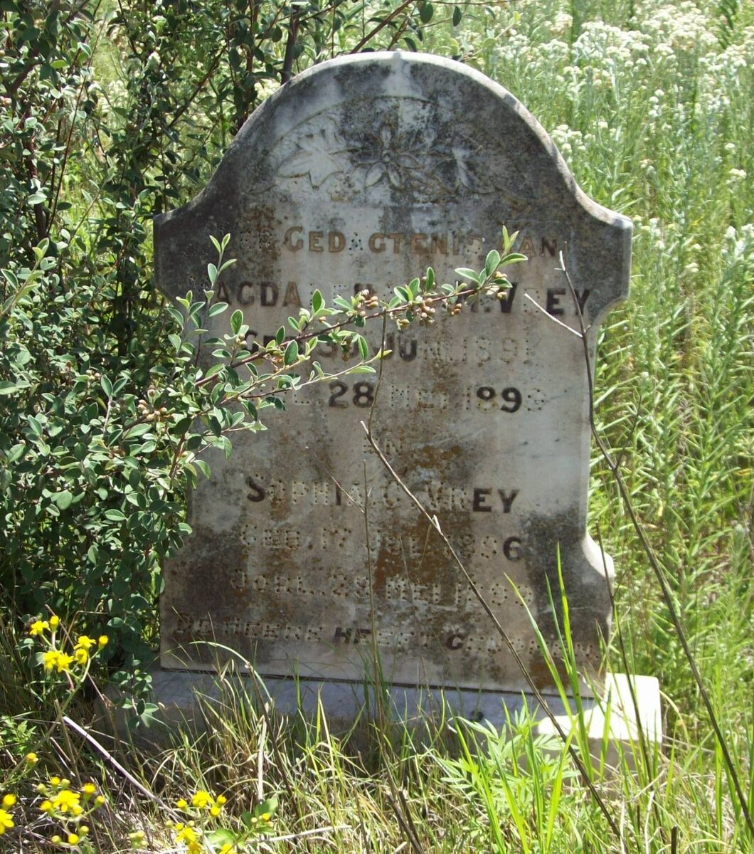 VREY Magdalena ? M. 1891-1899 :: VREY Sophia C. 1896-1899