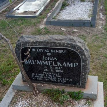 BRUMMELKAMP Johan 1947-1994