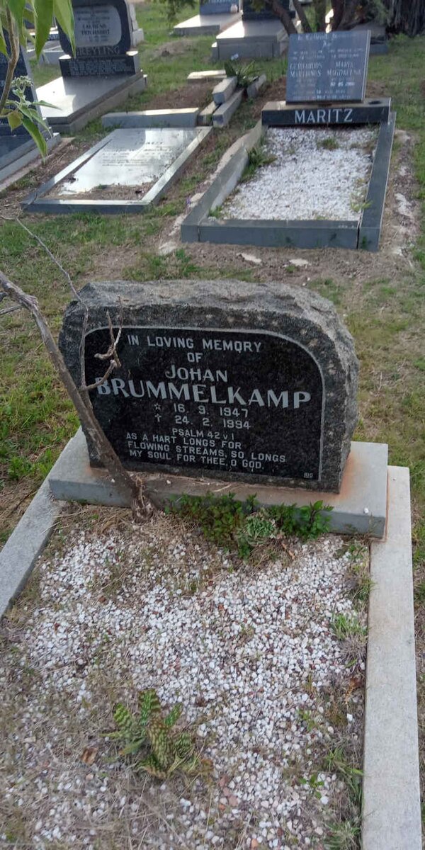 BRUMMELKAMP Johan 1947-1994