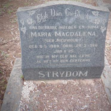 STRYDOM Maria Magdalena nee NIEUWOUDT 1889-1966
