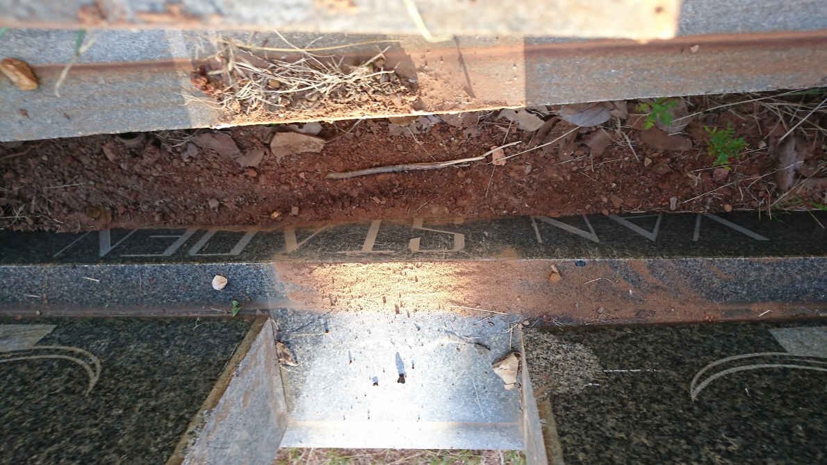 STADEN Jacobus Frederik, van 1903-1973 &amp; Charlotte Jacoba Magdalena REYNEKE 1905-1991