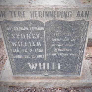 WHITE Sydney William 1888-1963