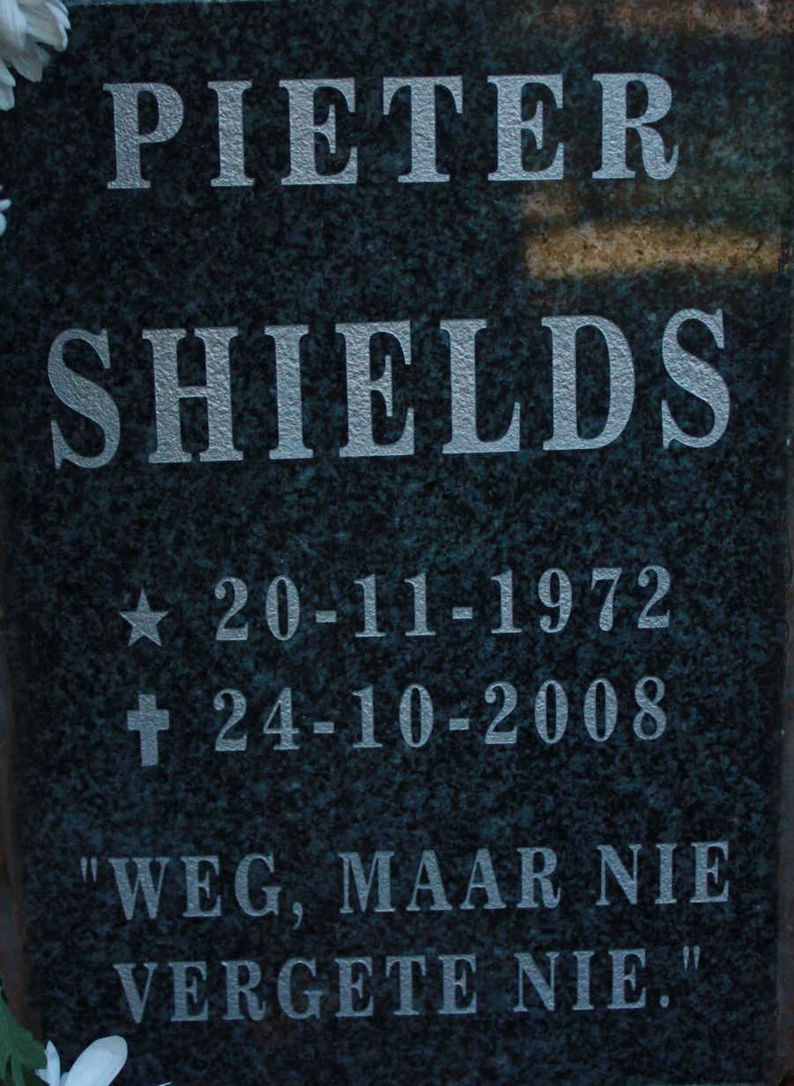 SHIELDS Pieter 1972-2008