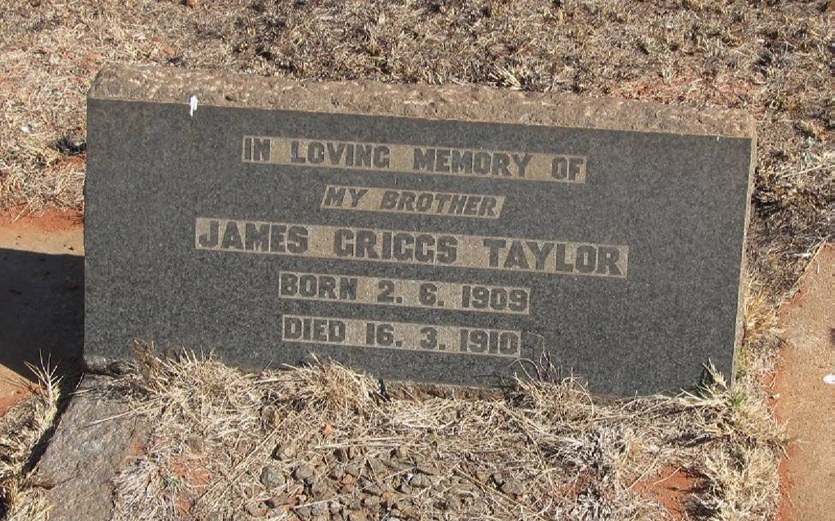 TAYLOR James Griggs 1909-1910