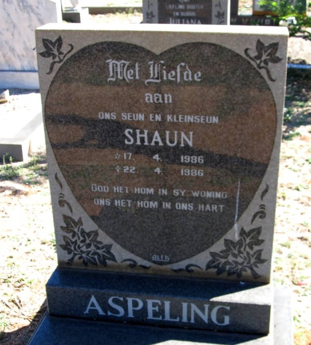ASPELING Shaun 1986-1986