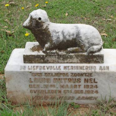 NEL Louis Petrus 1924-1924