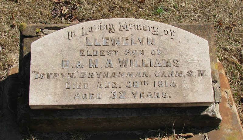 WILLIAMS Llewelyn -1914