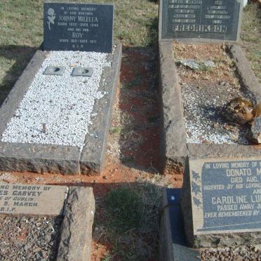 CARVEY :: MILELLA :: FREDRIKSON