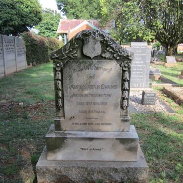 E - Surnames :: Vanne - E