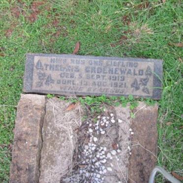 GROENEWALD Theunis 1919-1921