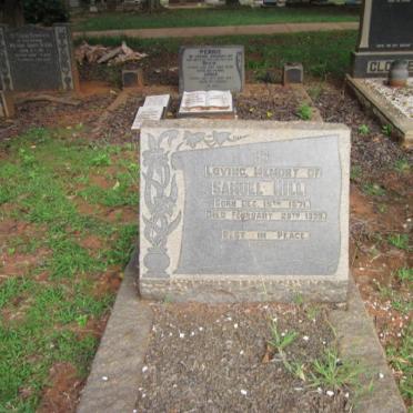 HILL Samuel 1871-1939