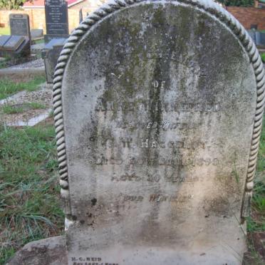 HAGGERTY Anne Winnifred -1899